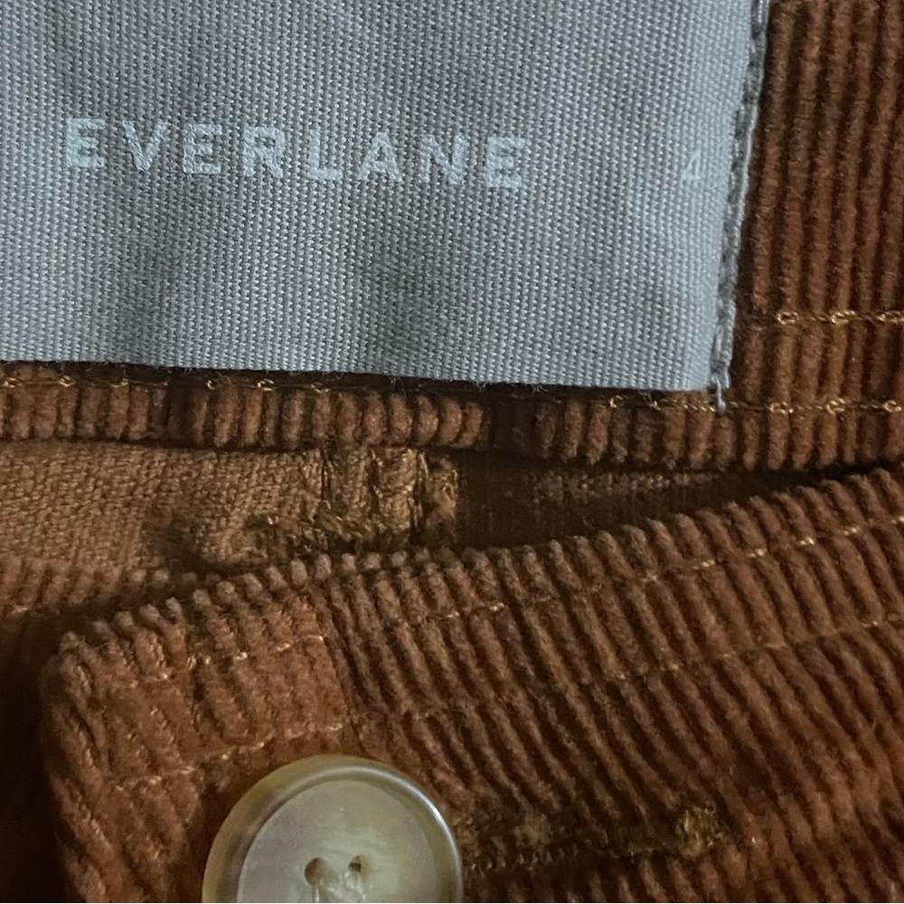 Everlane Rust Corduroy Wide Leg Pants